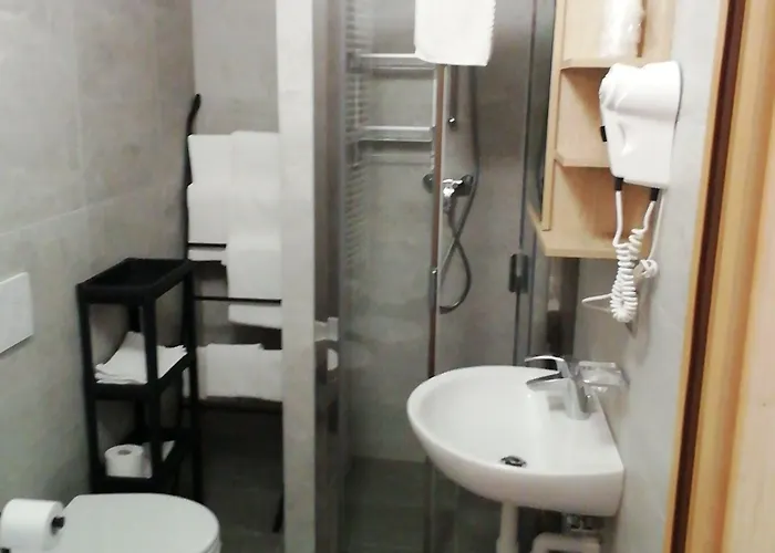 酒店 Gufo Depandance 博尔米奥